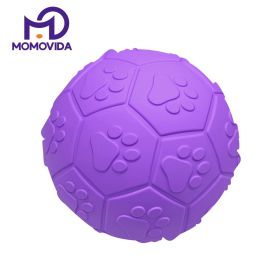 Pelota de Goma Grande con Sonido DT-15L