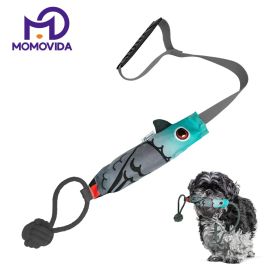 Juguete De Tracción Interactivo Con Sonido Pájaro DT-17