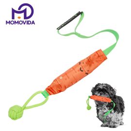 Juguete De Tracción Interactivo Con Sonido Zanahoria DT-19
